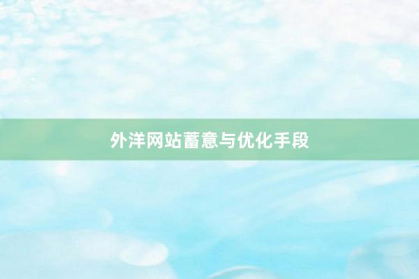 外洋网站蓄意与优化手段