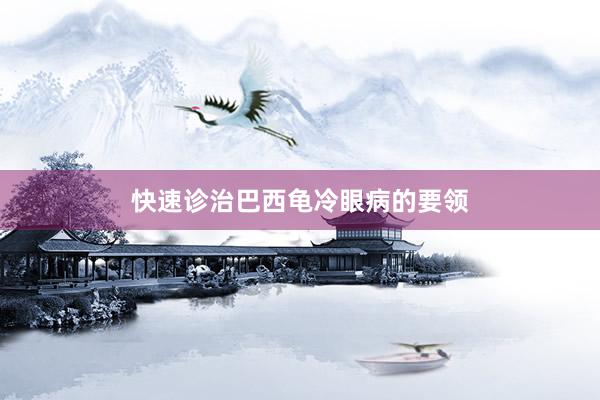 快速诊治巴西龟冷眼病的要领