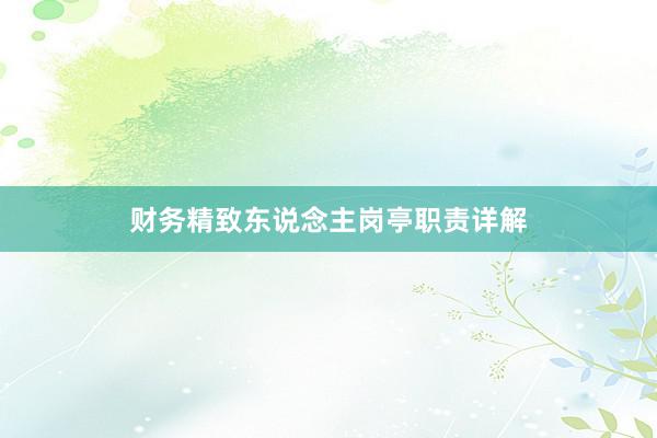财务精致东说念主岗亭职责详解